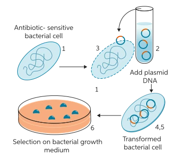 ProtocolGPT