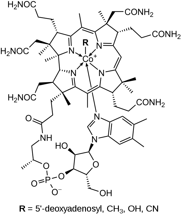 Sections