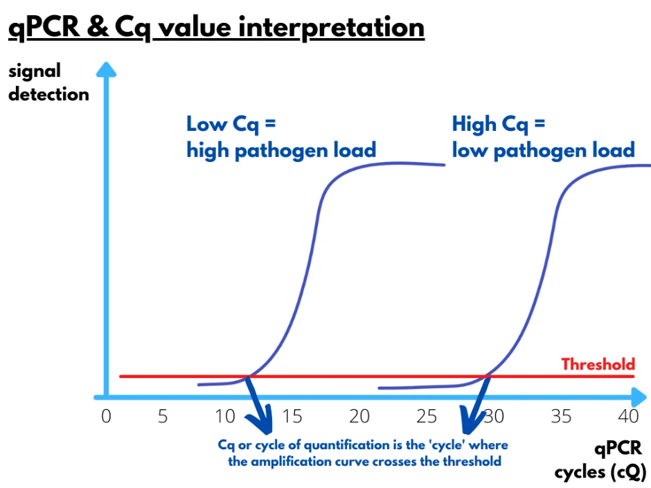 Automatic Detection Analysis for Diagnostic Excellence